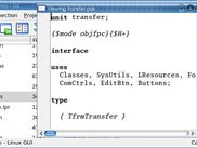 The Linux client with the built-in file viewer.