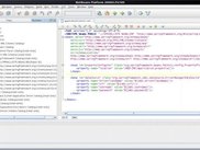 Spring XML Catalog View