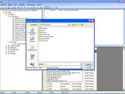 Export's dialog