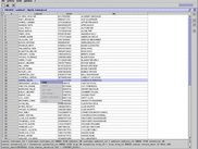 Data Grid