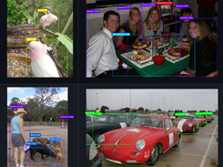 SSD Keras Screenshot 1