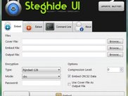 Embed File Interface