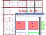 Zoom window for very large boards