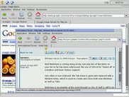 The WebKit-based browser in action