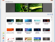 Thumbnail view