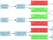 Example Tab2MAGE experiment visualization
