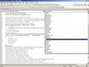 View Tdo generated source code in VS.NET