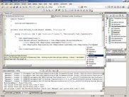 Use Tdo generated Source Code on your project