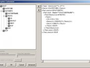 template customizer