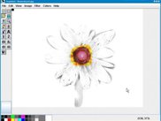 TerpPaint with sunflower that has been made partially b/w