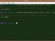 Saving time time with multi-process test running