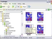 Get instant information about the image through tooltips!