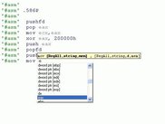 InlineAsm and IntelliSense