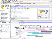 Time Entry  Menu Tree