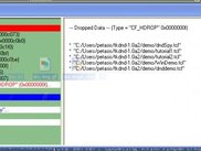 A demo TkDND application (dndSpy)
