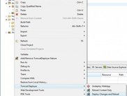 Context Menu for Project