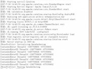 Operation Results of Tomcat Command Line
