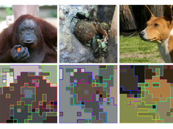 ToMe (Token Merging) Screenshot 2