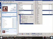 amaroK plugin