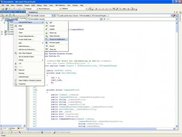Mouse menu for versioned file clicking the solution explorer