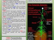 1c) UIBM-Flyer