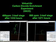 2) Virtual Air Carbon Dioxide Enrichment (VACE)