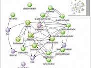 Interactive visualization of type and package dependencies