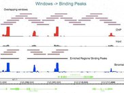 USeq ChIP-Seq Algorithm 2