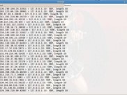 ./fudp -r -p 53 localhost