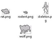 Outline Animals and Skeleton