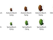 Tree Examples