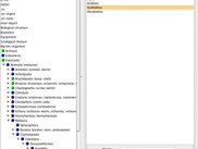 VARS Knowledgebase Application