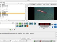 VARS Annotation Application