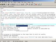 vtex main window with ".html" file