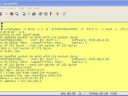 VoIP Hopper in Action
