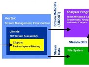Relationship of vortex with libraries and external analyzer