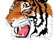 tiger.svg rendered using VPR