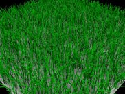 First prototype of grass