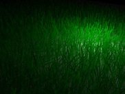 Same proto with a moving light and a material on the grass