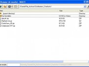 Browser