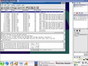 WebHuddle client on Linux showing Linux app sharing.