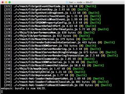 webpack-dashboard Screenshot 1
