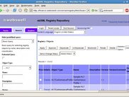 ebXML Registry Repository