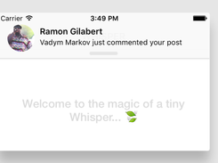 Whisper Screenshot 2