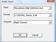 AudioInput