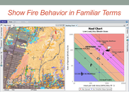 Explore Alignment of Forces
