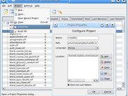 Display Project Properties in Catalog Manager