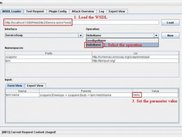 Load a WSDL and set up request parameters