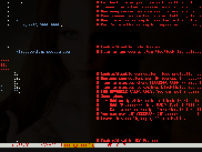 Xtreme Flash Policy Config