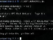 Xtreme Flash Policy 1.1